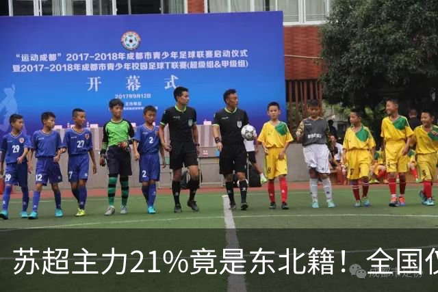 苏超主力21%竟是东北籍！全国仅11.6%，这局到底是谁选了谁？